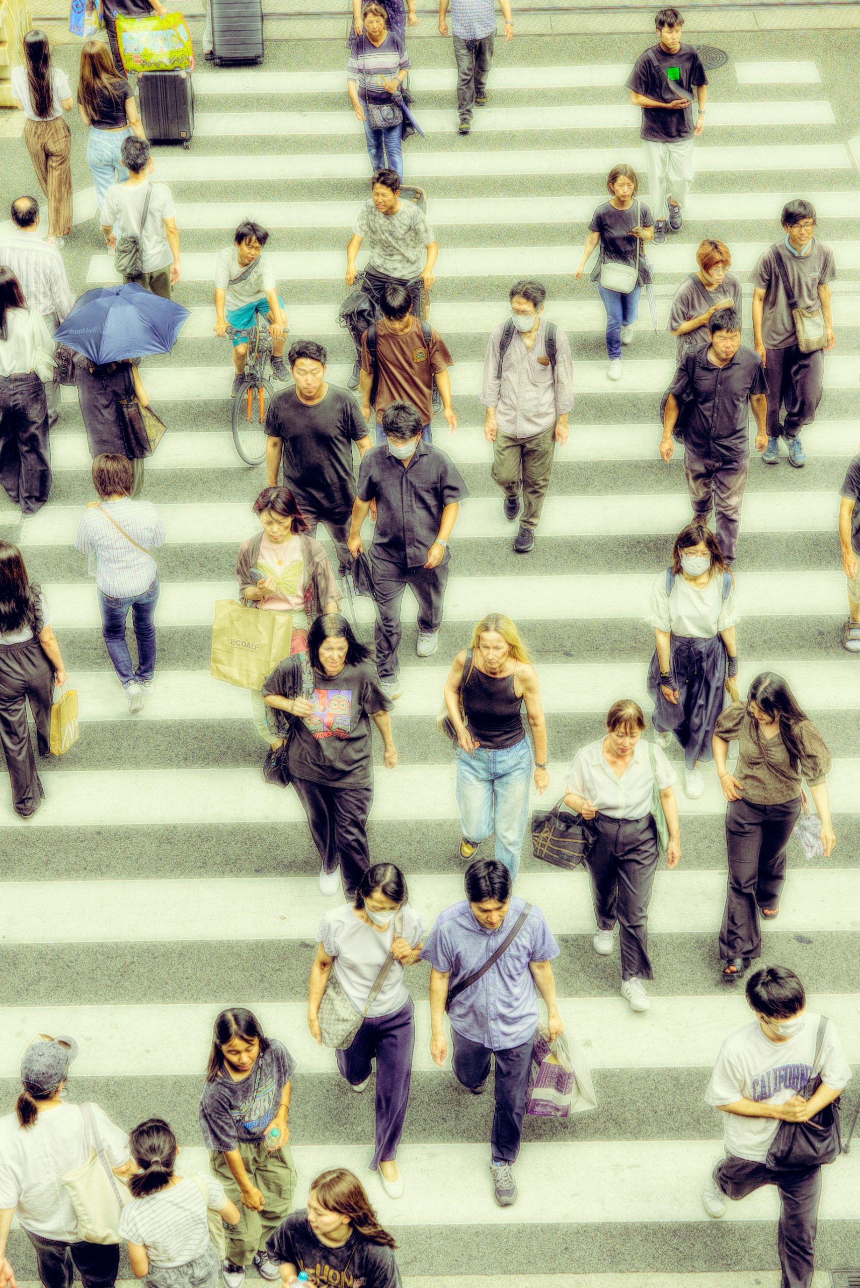 Dynamiques Humaines (3/3)